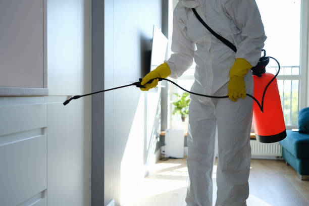 Best Forensic Mold Investigation  in Cuthbert, GA
