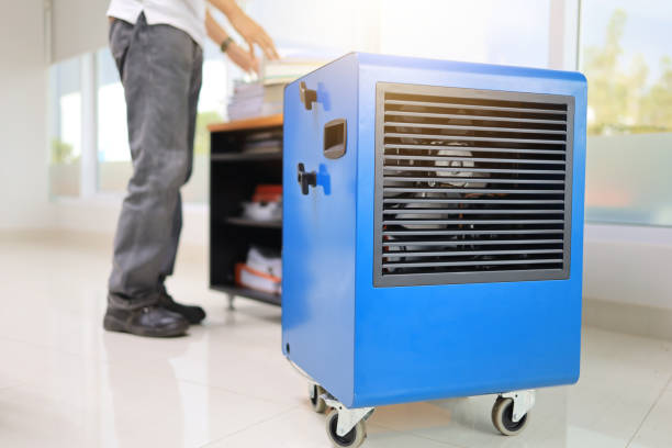 Best Residential Mold Inspection & Testing  in Cuthbert, GA