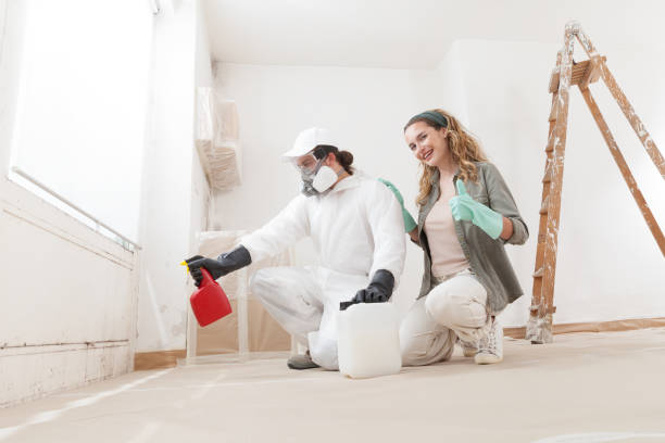 Best Attic Mold Removal  in Cuthbert, GA