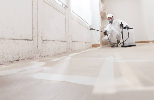 Best Mold Damage Restoration  in Cuthbert, GA