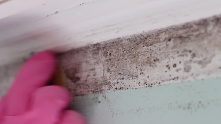Best Mold Remediation for Healthcare Facilities  in Cuthbert, GA